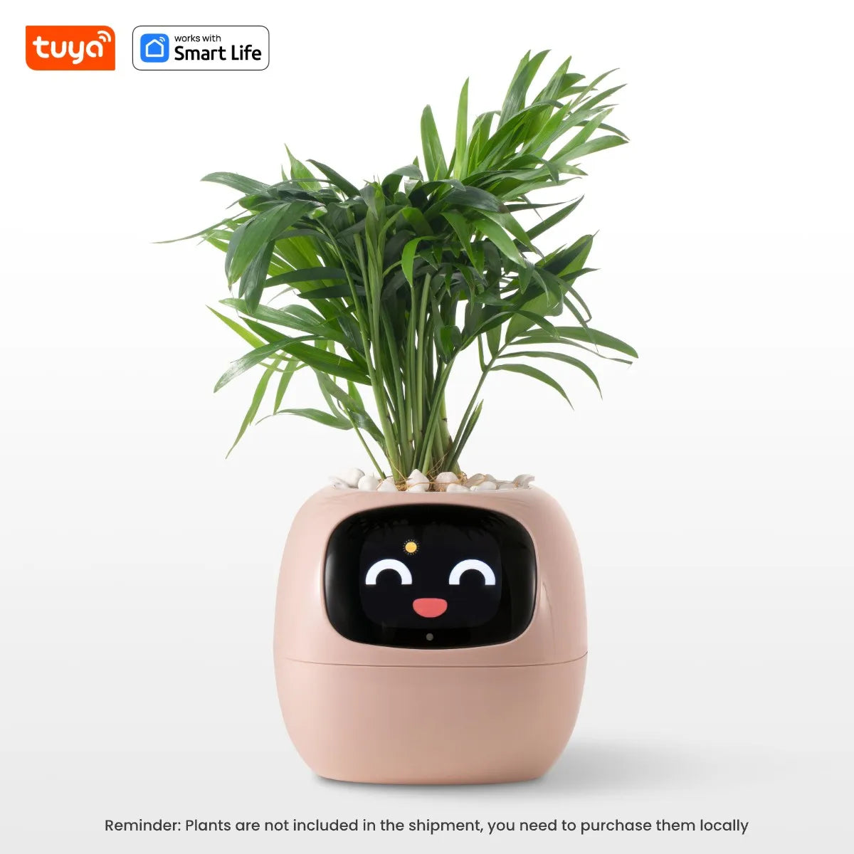 AquaSmart Planter