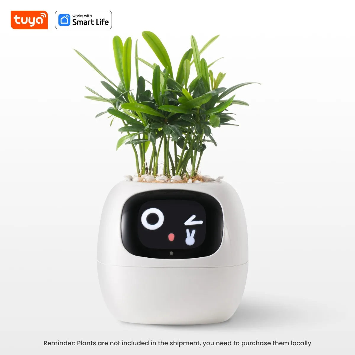 AquaSmart Planter