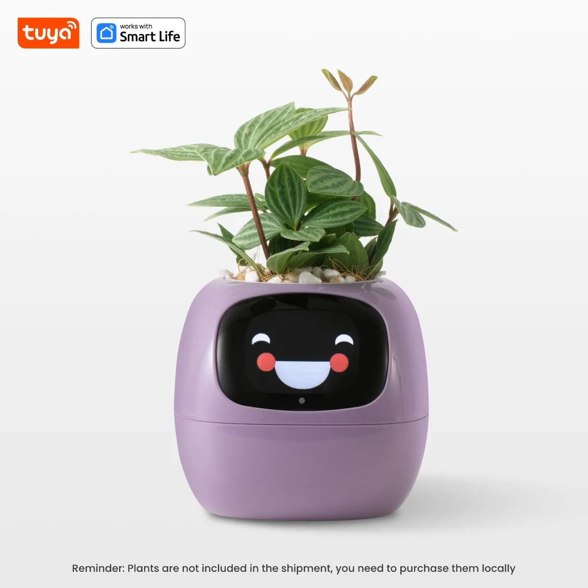 AquaSmart Planter