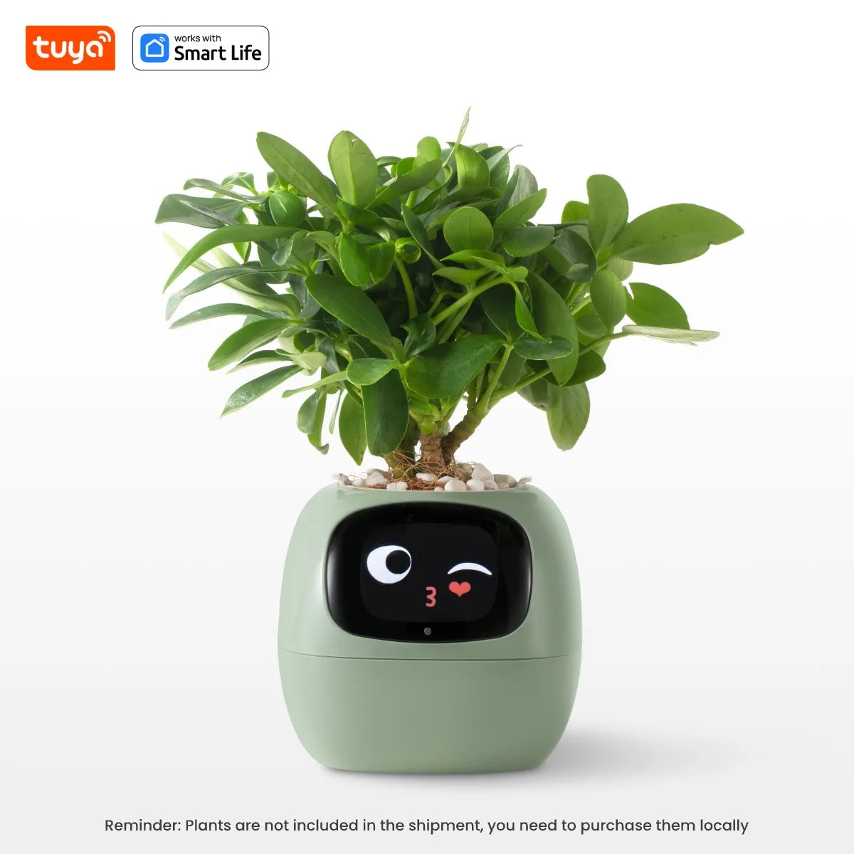 AquaSmart Planter